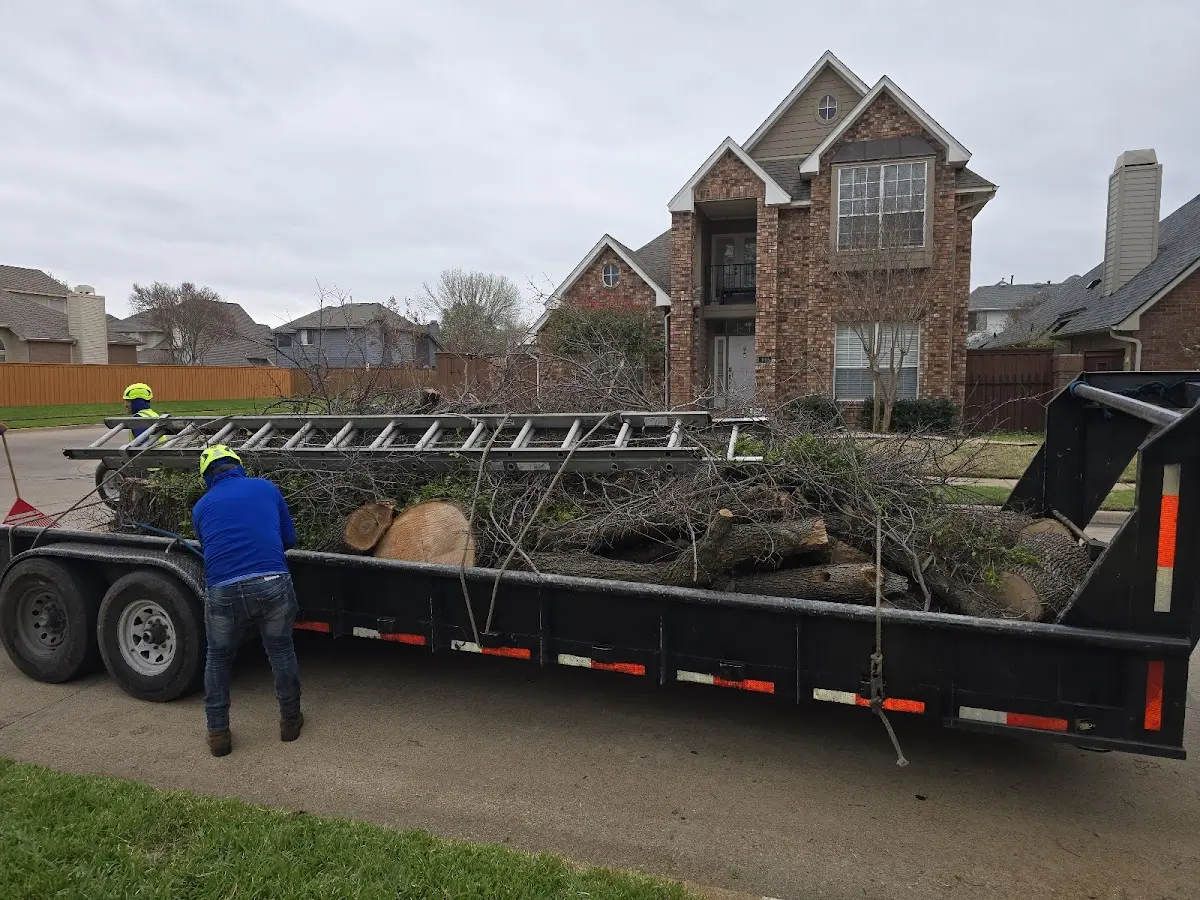 Expert Tree Fertilization with proper safety equipment in Batson